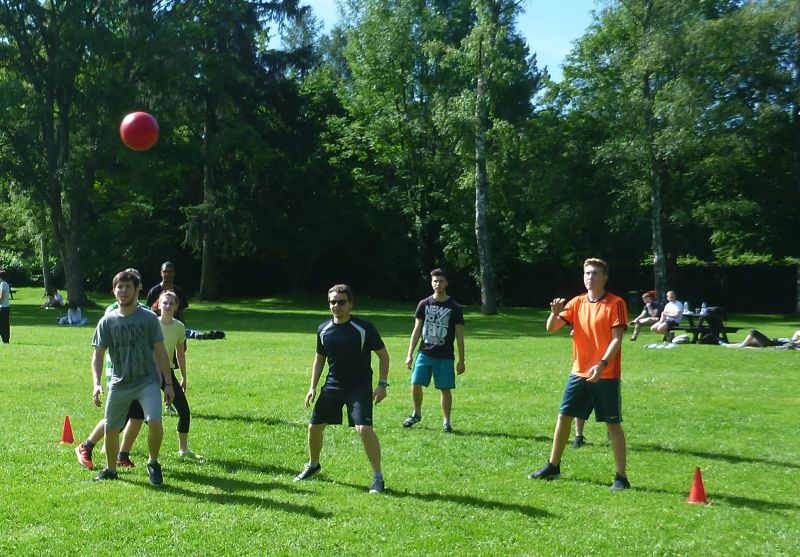 Voelkerball auf der Wiese