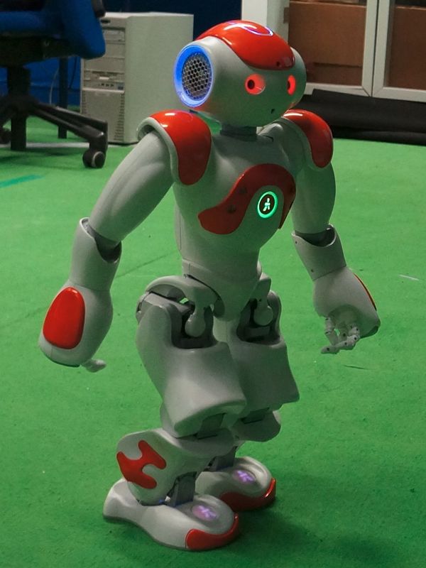 NAO Robot