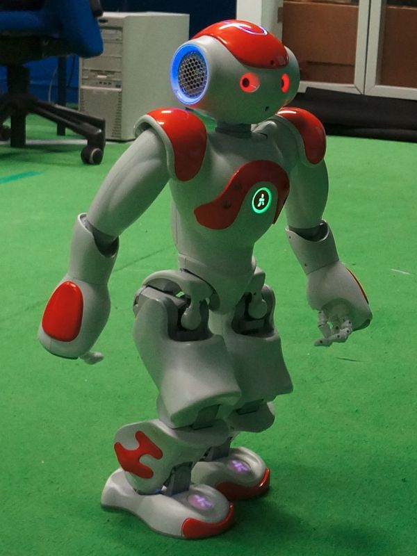 NAO Robot